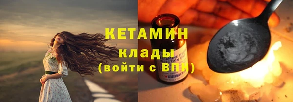 прущие грибы Михайлов