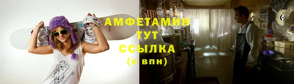 прущие грибы Михайлов