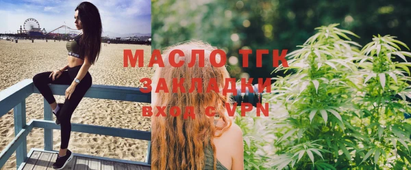 прущие грибы Михайлов
