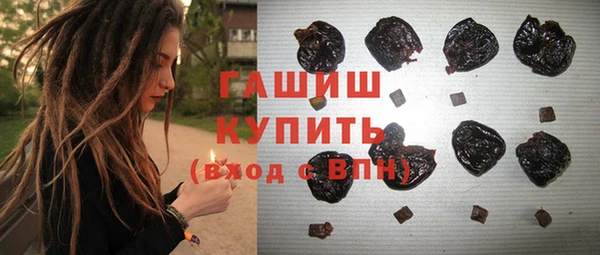 прущие грибы Михайлов