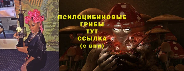 прущие грибы Михайлов