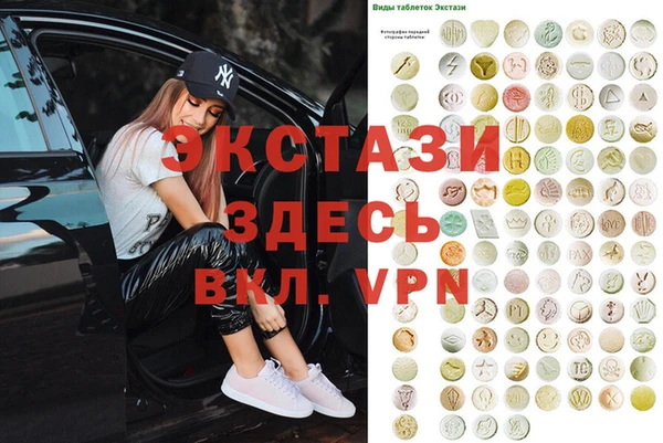 прущие грибы Михайлов