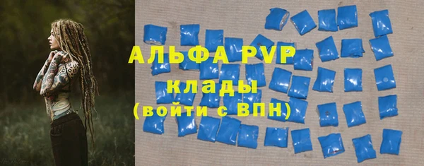 прущие грибы Михайлов