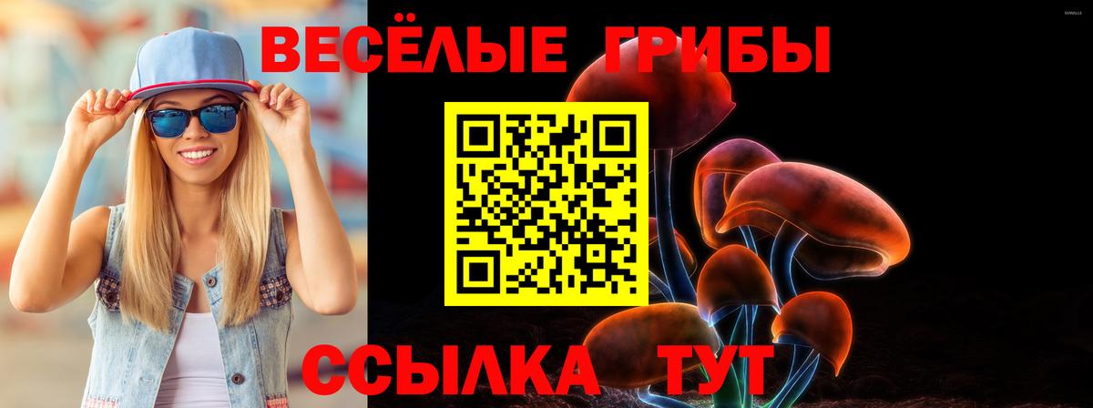 Псилоцибиновые грибы ЛСД Люберцы